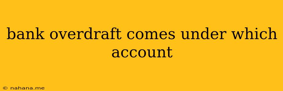 bank overdraft comes under which account