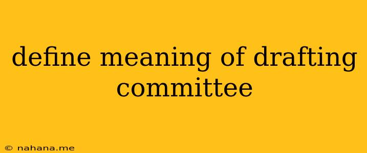 define meaning of drafting committee