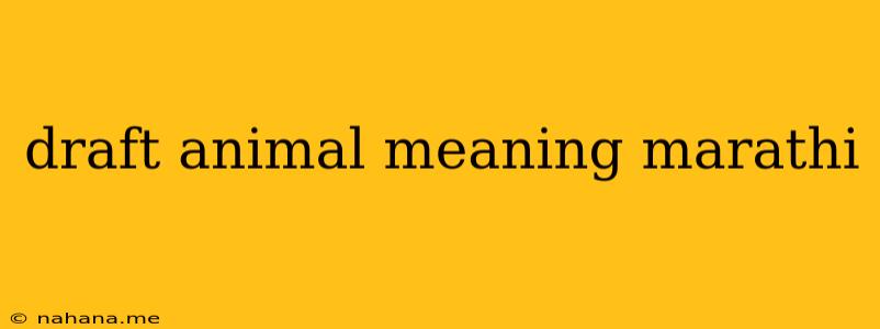 draft animal meaning marathi