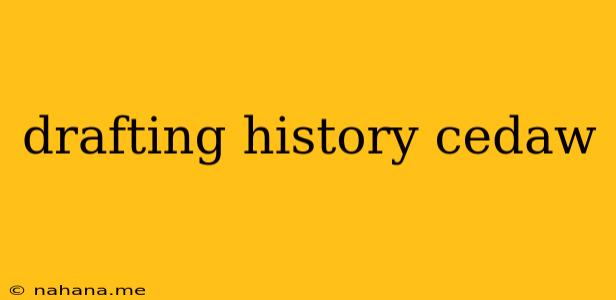 drafting history cedaw