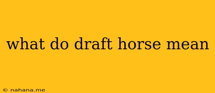 what do draft horse mean