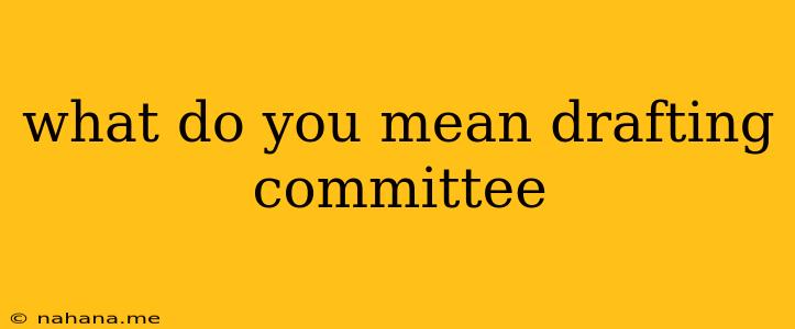 what do you mean drafting committee