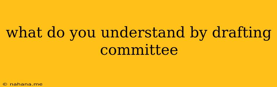 what do you understand by drafting committee