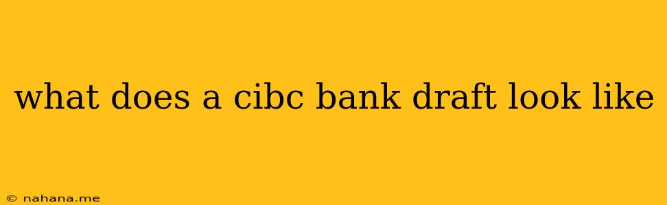 what does a cibc bank draft look like