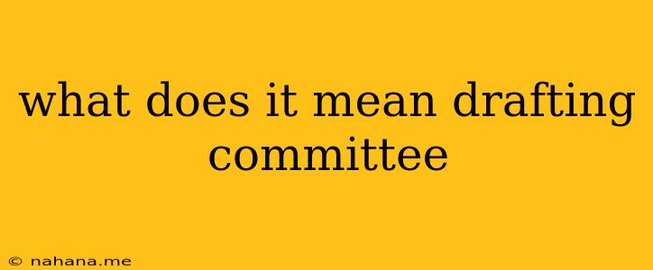 what does it mean drafting committee