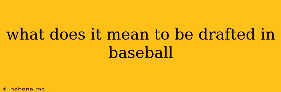 what does it mean to be drafted in baseball