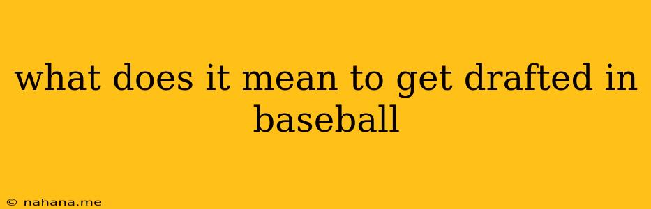 what does it mean to get drafted in baseball