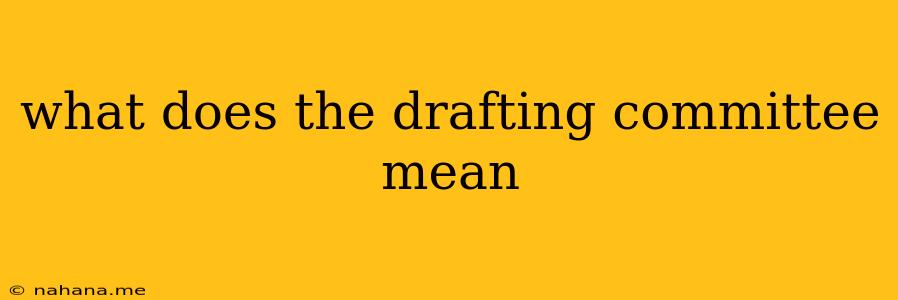 what does the drafting committee mean