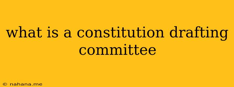 what is a constitution drafting committee