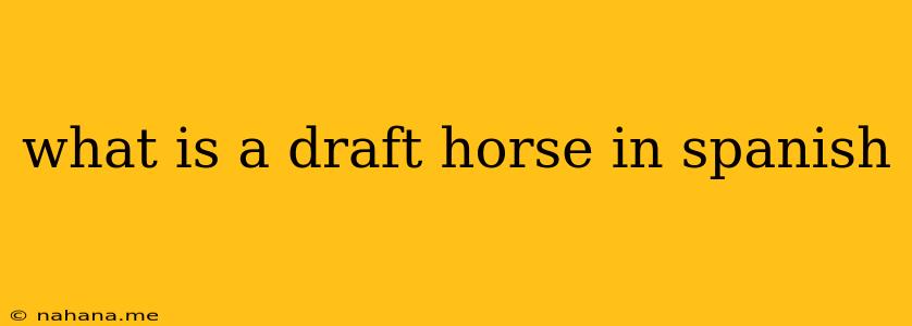 what is a draft horse in spanish