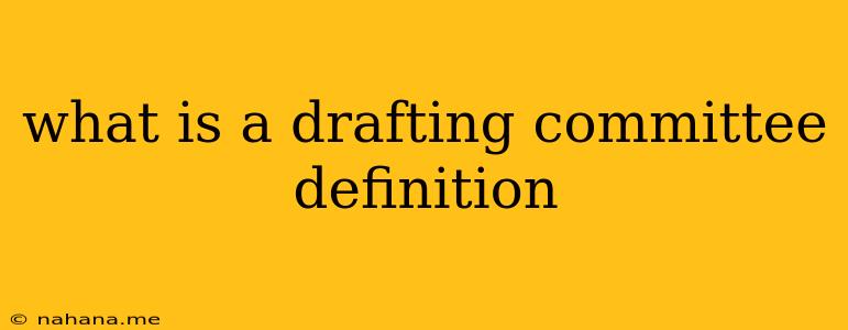 what is a drafting committee definition
