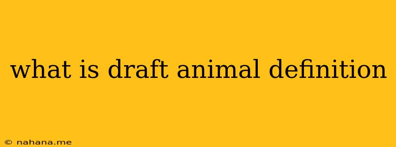 what is draft animal definition