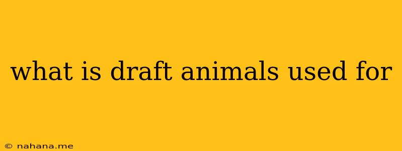 what is draft animals used for