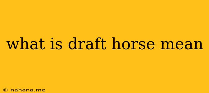 what is draft horse mean