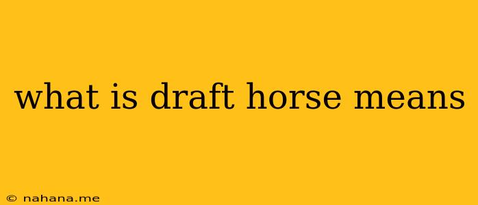 what is draft horse means