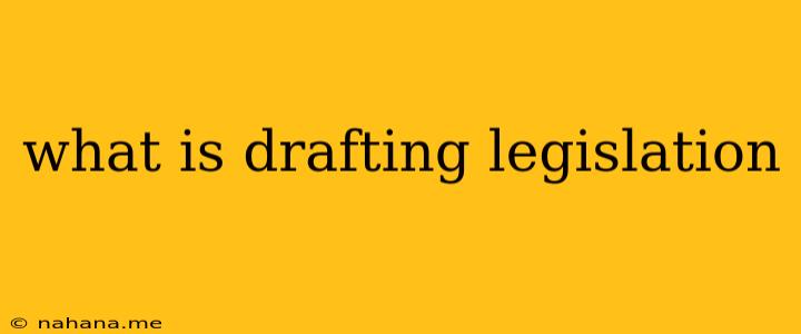 what is drafting legislation