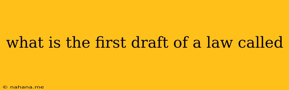 what is the first draft of a law called