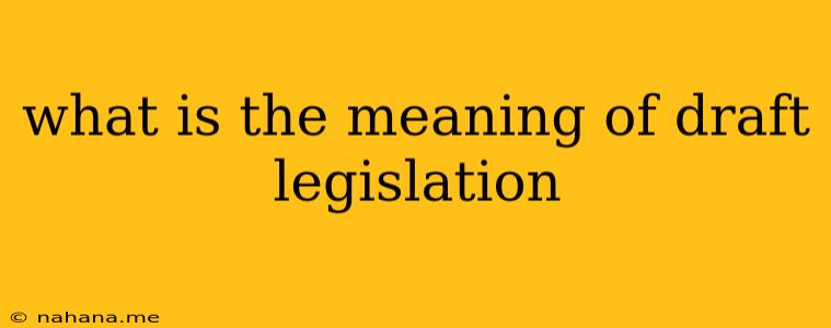 what is the meaning of draft legislation