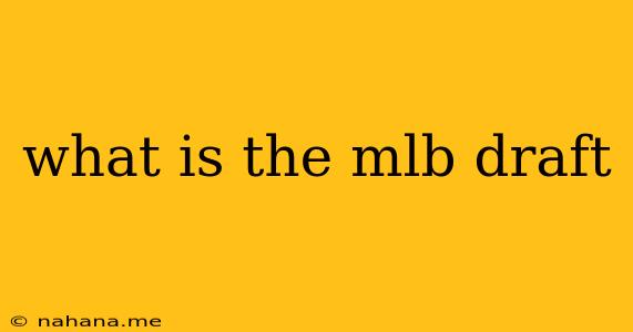 what is the mlb draft