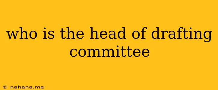 who is the head of drafting committee